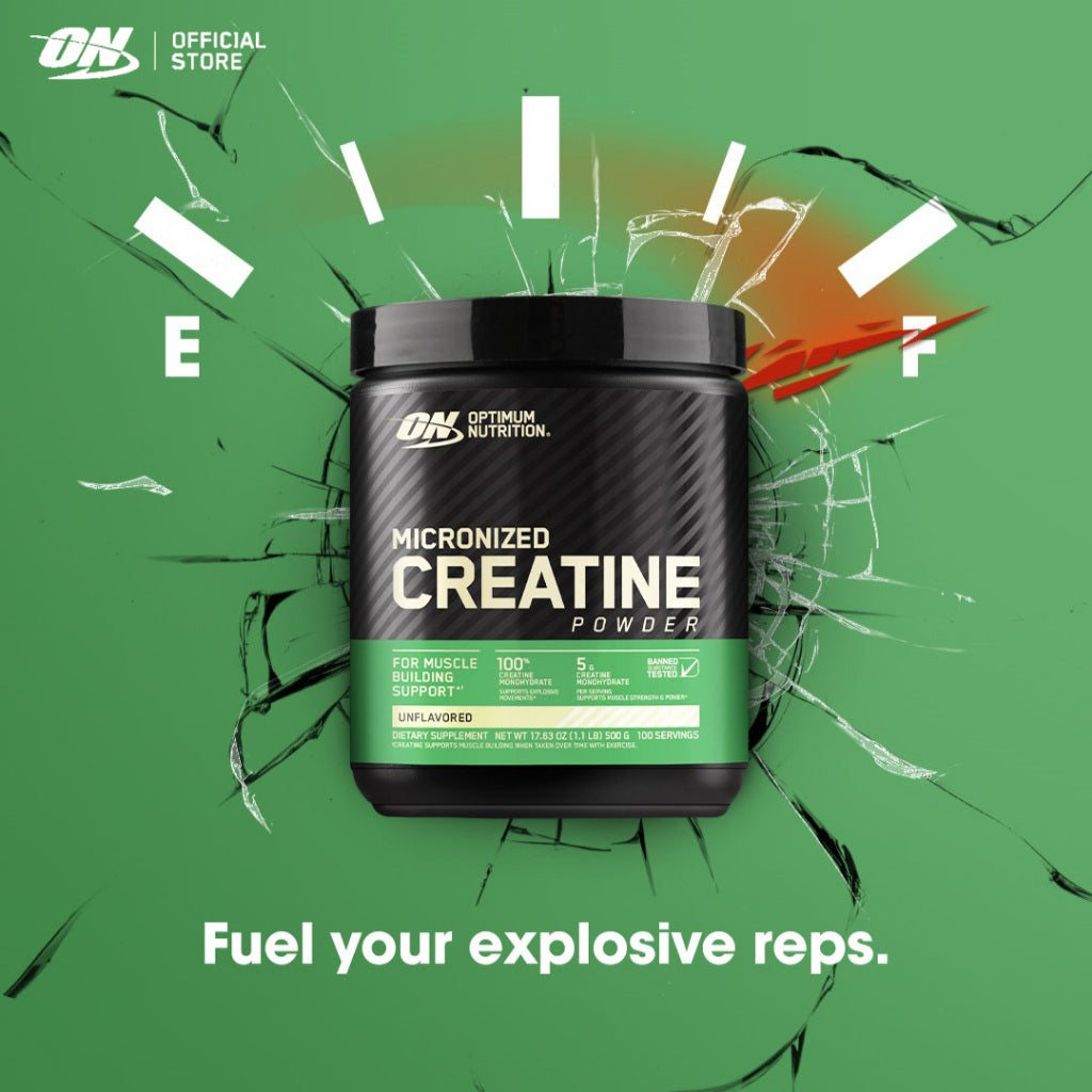 Optimum Nutrition Micronized Creatine Powder
