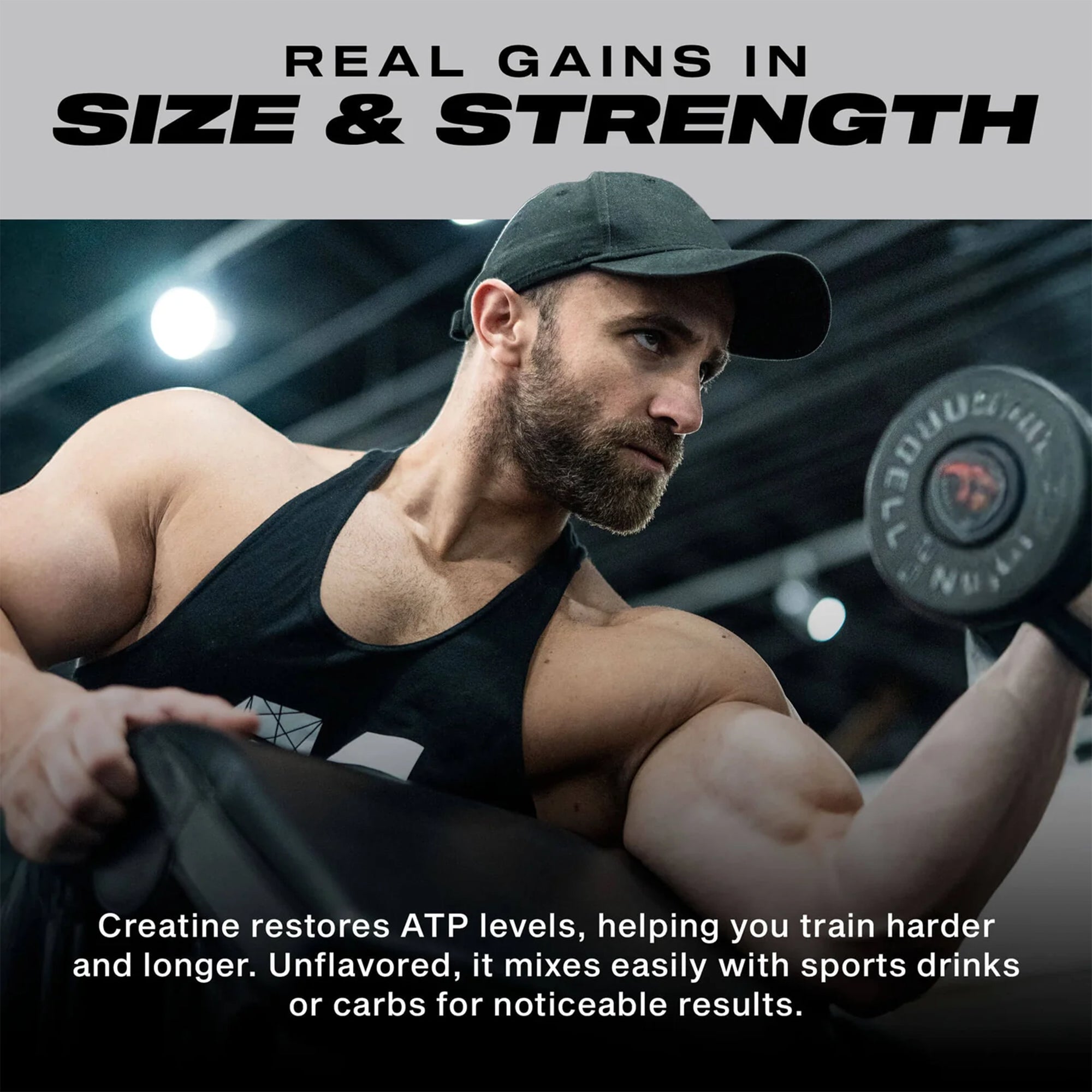 MUSCLETECH Platinum Creatine 80 Servings