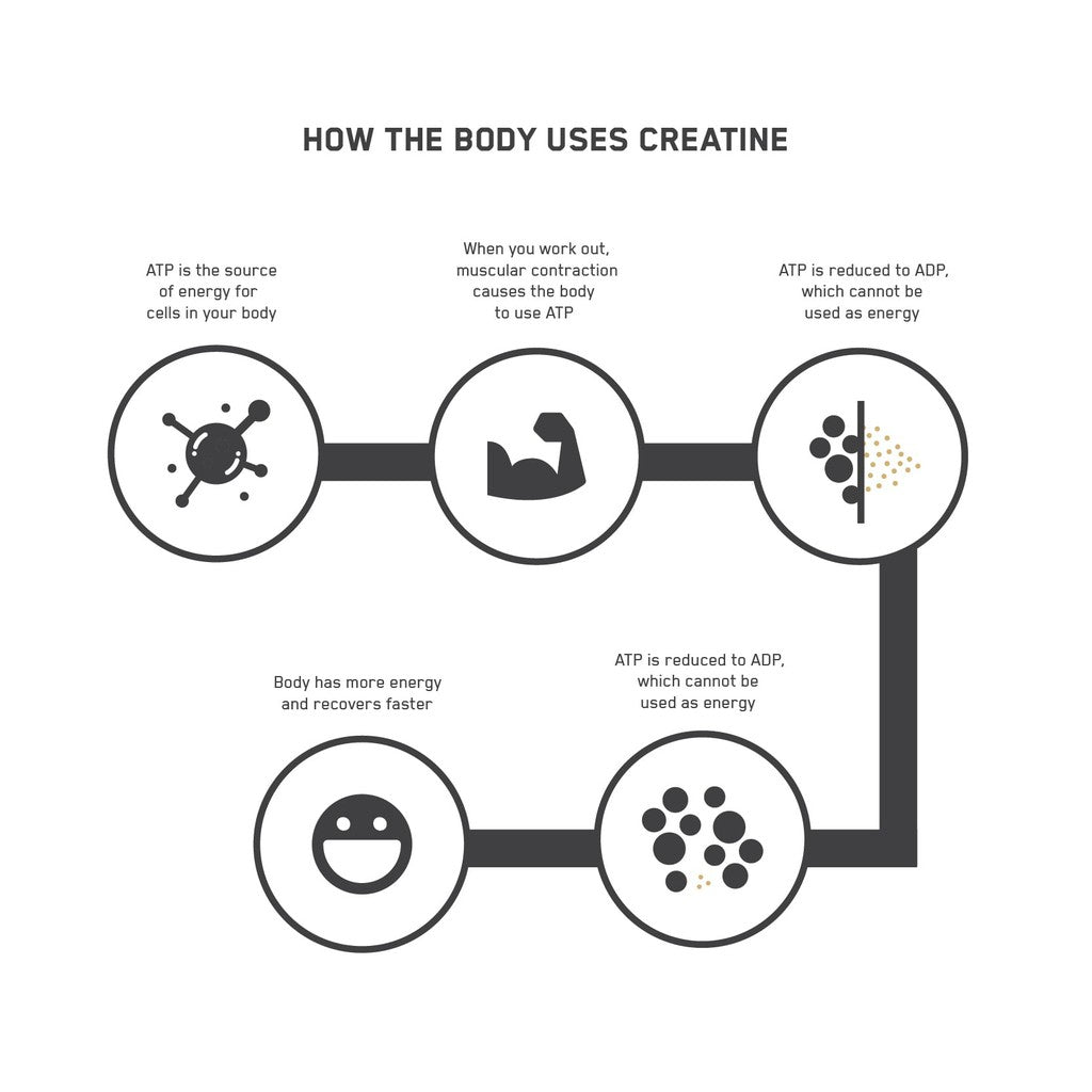 Optimum Nutrition Creatine Capsule 2.5 g