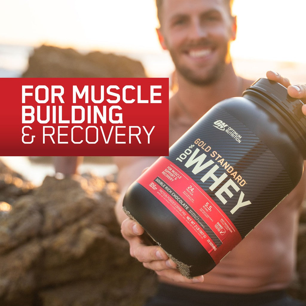 Optimum Nutrition Gold Standard 100% Whey Protein 1 lb